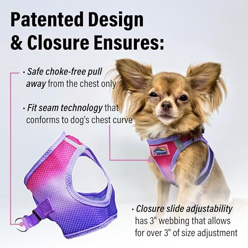 American River Choke-Free Dog Harness - Raspberry Sundae Ombre - color: Raspberry Sundae, size: X-Small