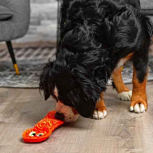 Outward Hound Durablez Stuffing-Free Squeaky Interactive Dog Toy, Tough Plush, Snake, Pink, Large - color: Pink Snake, size: Large (Pack of 1)