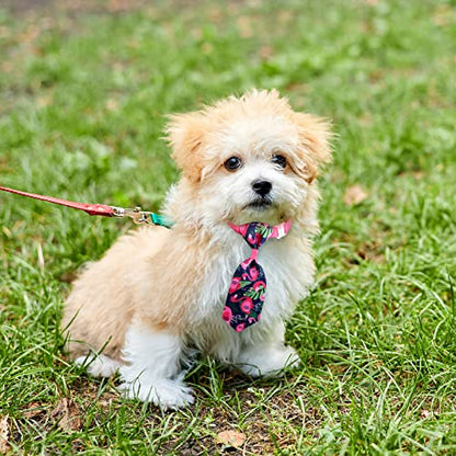 Reginary 100 Pieces Dog Bow Tie Collar Set Include 40 Dog Neckties, and 30 Puppy Bowties, 30 Collar Flowers, Adjustable Pet Ties Grooming for Small Medium Cats Pets Supply(Flamingo) - style: Flamingo