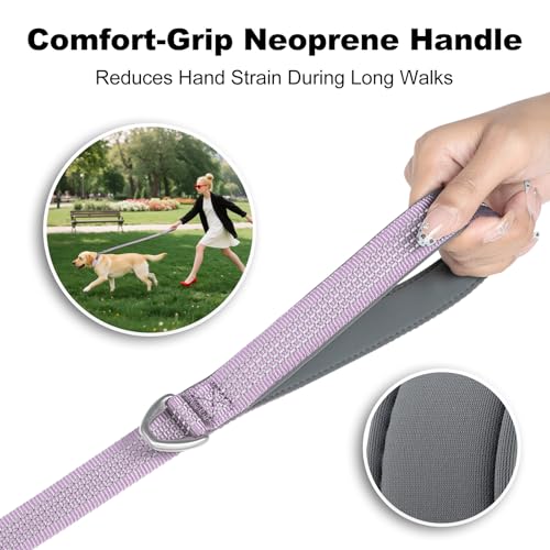 Plutus Pet Heavy Duty Dog Leash with Lockable Aluminum Carabiner, 4/6 Feet Long, Double-Sided Reflective Nylon, Padded Handle, for Puppy, Small, Medium and Large Dogs (Lilac Purple, 4/5" x 4') - color: Lilac Purple, size: 4/5" x 4'