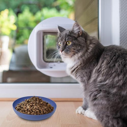 [16 Pack] Cat Dishes Whisker Friendly, Shallow Wide Pet Food and Water Bowl, Durable Wheat Straw Cat Bowls for Indoor Outdoor Cats - color: 16pcs