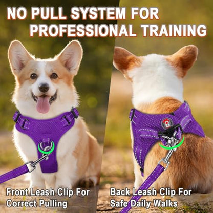 Dog Harness Step in Dog Vest Harness, Reflective Adjustable Puppy No Pull Harness Breathable Soft for Small and Medium Dogs Cats, Purple, XXS - color: Purple, size: XX-Small