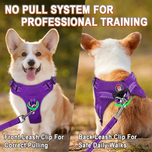 Dog Harness Step in Dog Vest Harness, Reflective Adjustable Puppy No Pull Harness Breathable Soft for Small and Medium Dogs Cats, Purple, XS - color: Purple, size: X-Small