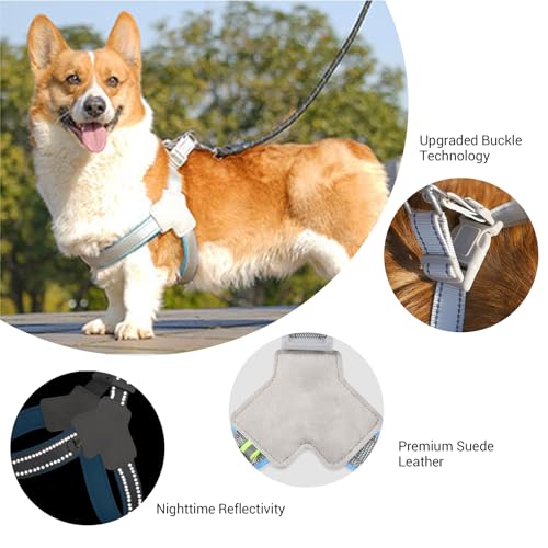Adjustable Vest Harness with Leash - Breathable Mesh, Soft Padded Vest for Small Dogs & Cats （Large + 5 Ft Black Reflective Leash） - color: Blue Grey, size: Large