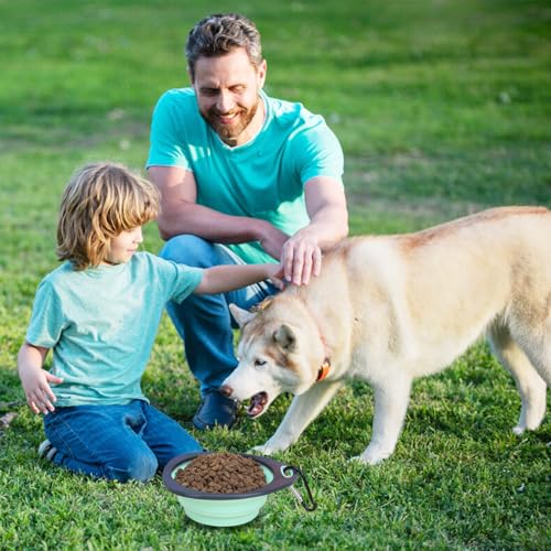 Collapsible Dog Bowls,Travel Dog Bowls Portable Bowl Small Collapsible Water Bowl for Pet Cats（2 Pack