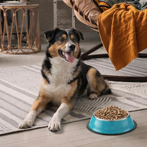 Roshtia 6 Pcs 18 oz Stainless Steel Dog Bowl, Dog Food Water Bowl with Anti Skid Silicone Base Stackable Dishwasher Safe Pet Puppy Dishes for Medium Large Dogs Cat Multipet Families - size: 18 oz