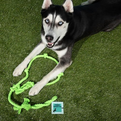 Tumbo Tough Tug Rope Dog Toy - (Green 5 ft Long Strong and Durable Rope Pull Toy with Handle) TUG of WAR Dog Toy - color: Green