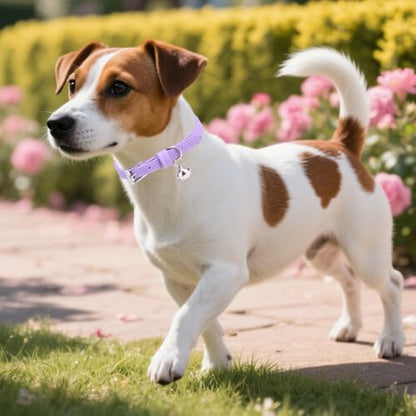 PUPTECK 2 PCS Soft Genuine Leather Cat Kitten Collar with Bells Adjustable for Girl Boy Cats Puppy - Orange, Purple - color: Orange&Purple