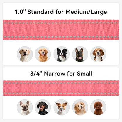 Joytale Dog Leash, 4 FT Double-Sided Reflective, Padded Handle Nylon Heavy Duty Leashes for Small Dogs Walking, Neon Pink - color: Neon Pink, size: 4 ft Narrow