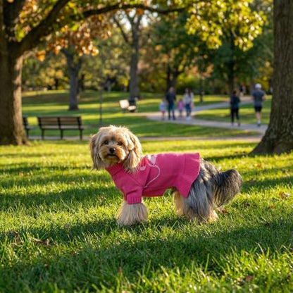 Valentines Bowknot Dog Sweater Dress for Small Dogs Girl, Stretchy Pet Sweaters Pullover Coats, Fall Winter Warm Dog Turtleneck Sweater (Pink, L) - color: Pink, size: Large (15-22lbs)