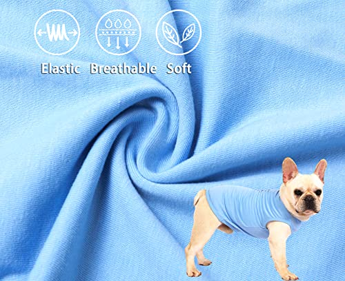 Dog Lightweight Shirts,Cool Dog Summer T-Shirts,Soft Pet Shirt Sleeveless Blank Clothes,Chihuahua Costumes for Puppy Kitty Cats Dogs,2 Pack,XS Blue Green - color: Blank Blue Green, size: X-Small