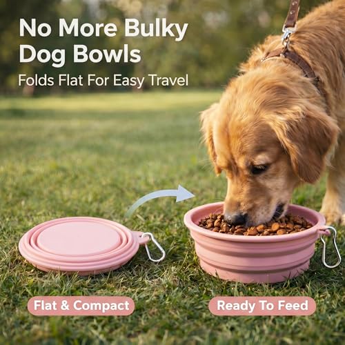 Collapsible Dog Bowls 2-Pack, Portable Travel Dog Bowl with Carabiner, Food-Grade BPA-Free Silicone Pet Food & Water Bowl for Dogs & Cats, Hiking Walking Camping (Yellow and Light Green) - color: Yellow and light green