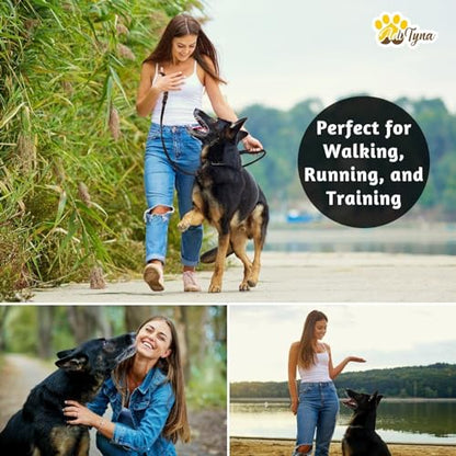 ADITYNA - Double Handle Leather Dog Leash 6ft - Heavy Duty Braided Dog Leash with Traffic Handle - Lead for Training and Walking Medium Large Breeds (Black, Two Handles 6 Foot x 3/4") - color: Black, size: Two Handles 6 foot x 3/4"