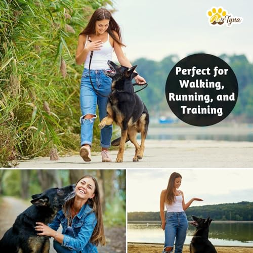 ADITYNA - Double Handle Leather Dog Leash 6ft - Heavy Duty Braided Dog Leash with Traffic Handle - Lead for Training and Walking Medium Large Breeds (Brown, Two Handles 6 Foot x 3/4") - color: Brown, size: Two Handles 6 foot x 3/4"
