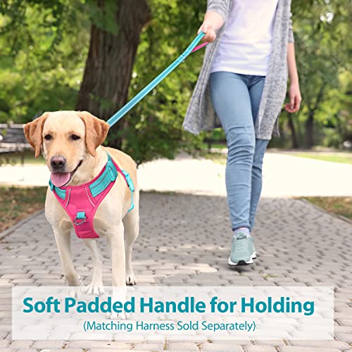 PHOEPET 5 Feet Dog Leash with Comfortable Padded Handle Easy Snap Clasp - Reflective Walking Lead for Large, Medium & Small Breed Dogs (Mint Green + Pink Base) - color: Mint Green + Pink Base