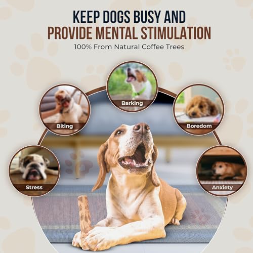Coffee Wood Chew and Cotton Rope Toy for Dogs - 100% Natural, Organic Wood Stick for Chewers Teeth Cleaning, Training - Size M - size: Medium