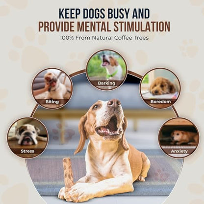 Coffee Wood Dog Chew and Natural Cotton Rope Toy for Regular Chewers - 100% Organic Wood Stick for Dog - Teeth Cleaning - Size L - size: Large