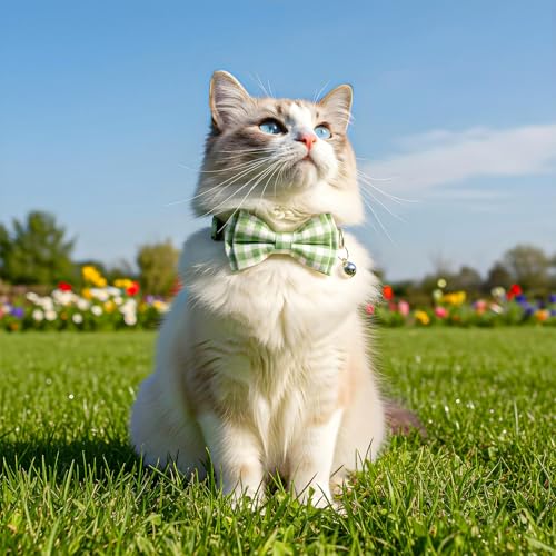 2 Pcs Green Cat Bow Tie, Cat Collar with Bow Tie Breakaway, Catsbowtie Collar with Bell, Soft Adjustable Color Plaid Pet Collars (Green) - color: Green