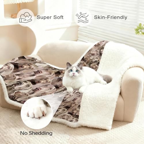 BlessLiving Weimaraner Fuzzy Dog Blanket for Kids Adults - Cute Puppy Fleece Blanket with Animal Pattern - Reversible Sherpa Couch Sofa Bed Throw (50 x 60 Inches) - color: Weima Dog 1, size: Throw, 50 x 60 Inches