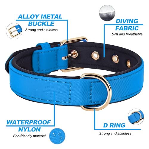 Didog Soft Padded Dog Collar for Large Dogs, Lightweight and Breathable Dog Collar with Metal Buckle, Blue, XL - color: Blue, size: XL: Fit 17-23" Neck