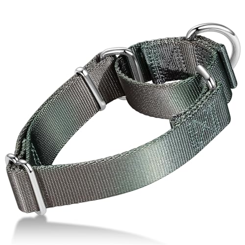 Martingale Dog Collar Colorful Gradient Fashionable - Anti-Escape Soft Durable Pets Collar for Walking Training Outdoor Daily Use -Medium, Dark Grey - color: Dark Grey Gradient, size: Medium: 14" -21"