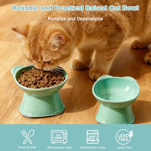 KSIA Klear Elevated Cat Bowls 2 Pack, Tilted Raised Cat Bowl for Food and Water, 4.72" Wide, Whisker Friendly Anti Vomit for Indoor Cats, Microwave and Dishwasher Safe, Green - color: Green