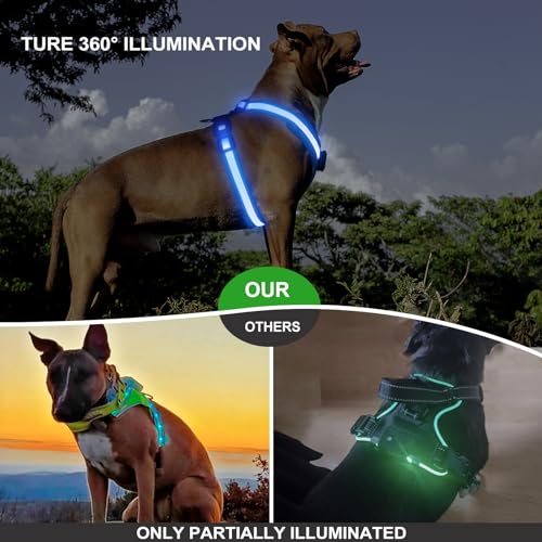 Light Up Dog Harness, LED Dog Harness Rechargeable, Glow in the Dark, LED Dog Vest Reflective, Light Up Harness for Dogs, Dog Lights for Night Walking, Blue, XL - color: Blue
