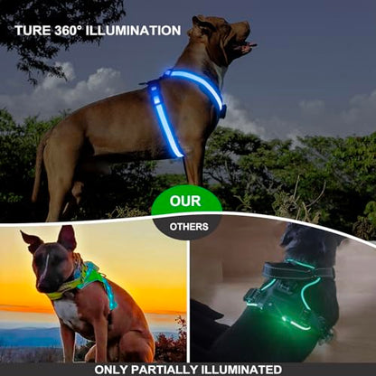 Light Up Dog Harness, LED Dog Harness Rechargeable, Glow in the Dark, LED Dog Vest Reflective, Light Up Harness for Dogs, Dog Lights for Night Walking, Blue, XL - color: Blue