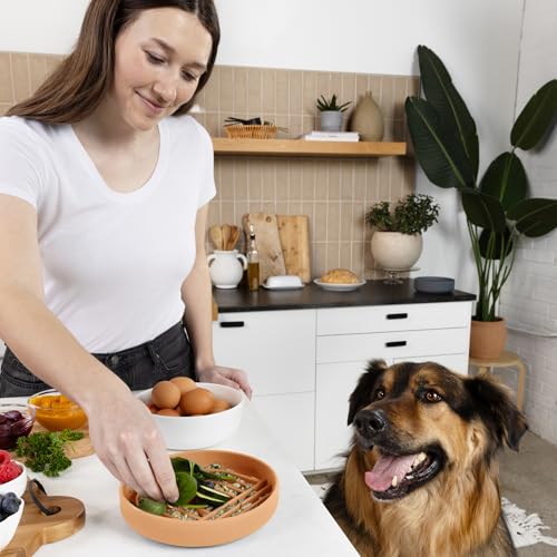 Should We Go? Slow Feeder for Dogs & Puppies, The Slowdown Bowl Silicone Slow Eating Modern Lick Mat Design, Reduces Gulping, Fits 2 Cups 7.5” Across x 1.5” Tall, Mealtime Challenge, Medium-Terracotta - color: Terracotta - Rainbow Design, size: Medium (7.