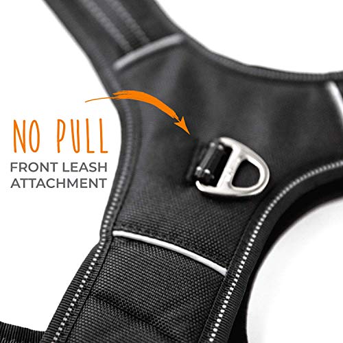 Mighty Paw Sport Harness 2.0 - Padded Canine Accessory - Adjustable Neck and Chest Straps - Enhanced Visibility with Reflective Stitching - Dog Padded Harness with Handle - Large - Black - color: Black