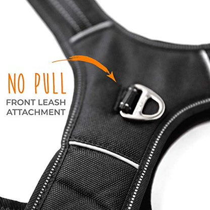 Mighty Paw Sport Harness 2.0 - Padded Canine Accessory - Adjustable Neck and Chest Straps - Enhanced Visibility with Reflective Stitching - Dog Padded Harness with Handle - Large - Black - color: Black