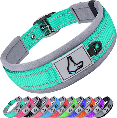 Joytale Dog Collar for Large Dogs, Neoprene Padded and Adjustable, Reflective Wide Heavy Duty Pet Collars with Durable Metal Belt Buckle for Walking, Teal, L - color: Teal, size: L