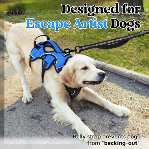 rabbitgoo Escape Proof Dog Harness, Soft Padded Full Body Pet Harness, Reflective Adjustable No Pull Vest with Lift Handle and Leash Clip for Large Dogs Walking Hiking Training, M, Blue - color: Blue, size: Medium (Pack of 1)
