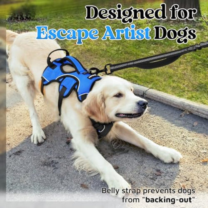 rabbitgoo Escape Proof Dog Harness, Soft Padded Full Body Pet Harness, Reflective Adjustable No Pull Vest with Lift Handle and Leash Clip for Large Dogs Walking Hiking Training, M, Blue - color: Blue, size: Medium (Pack of 1)