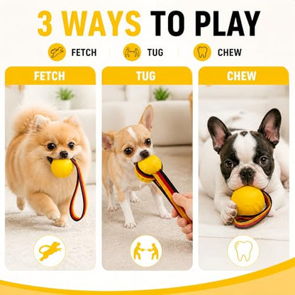 Durable Rubber Dog Ball with Strap - Interactive Fetch/Tug Toy for Aggressive Chewers, Floating Dog Toy for Medium/Large Dogs (Small) - size: Small