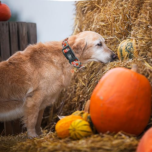 Elegant little tail Halloween Dog Collar, Pumpkin with Flower Print Fall Pet Collars Cotton Soft Sturdy Puppy Collars Holiday Female Adjustable Collar for X-Small Puppy - color: Fall-3D Pumpkin, size: X-Small (Pack of 1)