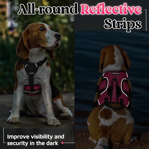 rabbitgoo Escape Proof Dog Harness, Soft Padded Full Body Pet Harness, Reflective Adjustable No Pull Vest with Lift Handle and Leash Clip for Large Dogs Walking Hiking Training, S, Pink - color: Pink, size: Small (Pack of 1)