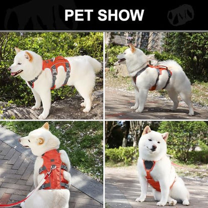 Escape Proof Dog Harness, Lightweight Full Body Pet Vest with Lift Handle and Leash Clip, Reflective Adjustable Small Dog Harness for Daily Walking(Vermilion,Chest:14-22") - color: Vermilion, size: XS: Chest 14-22", Fit 8-12 lbs