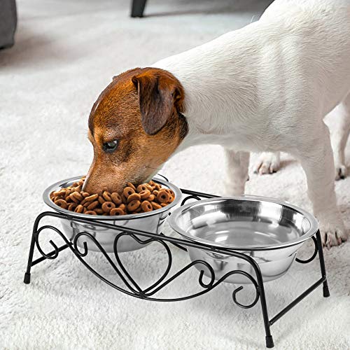 Pet Bowl, Double Cat Dog Waterer Bowls Stainless Steel Elevated Pet Water Food Feeder with Non-Slip Raised Stand for Small Dogs Cats Puppy Kitty