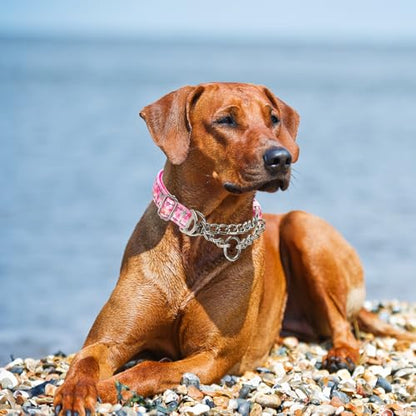 Reflective Martingale Dog Collar with Soft Padded,Adjustable Heavy Duty Choke Steel Chain Big Dog Training, Walking, Hunting Collar for All Breeds (Pink Flowers XL) - color: 2, size: XL(Neck21"-27")