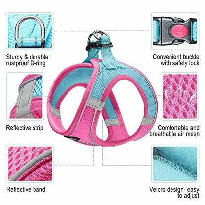 haapaw Dog Harness with Leash Set, No Pull Adjustable Reflective Step-in Puppy Harness with Thickened Padded Vest for Extra-Small/Small Medium Dogs - color: Blue / Pink, size: M