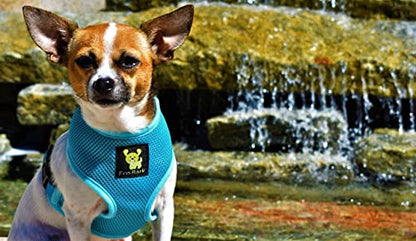 EcoBark Blue Dog Harness - Eco-Friendly Max Comfort Harnesses - Luxurious Soft Mesh Halter - Over The Head Harness Vest- No Pull and No Choke - color: Sky Blue