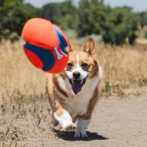 Chuckit! Fumble Fetch Dog Football - Outdoor and Indoor Interactive Dog Toy with Grooved Design for Easy Pickup - Made from Durable Rubber - Floats in Water - Small - Orange and Blue - size: Small, style: Orange/Blue