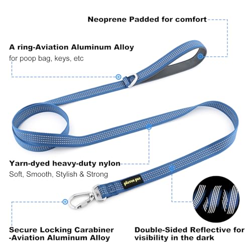 Plutus Pet Heavy Duty Dog Leash with Lockable Aluminum Carabiner, 4/6 Feet Long, Double-Sided Reflective Nylon, Padded Handle, for Puppy, Small, Medium and Large Dogs (Blue, 4/5" x 4') - color: Blue, size: 4/5" x 4'