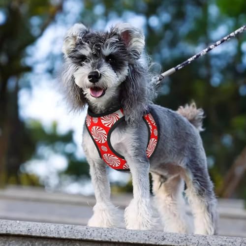 Christmas Candy Peppermints Red Pet Harness Escape Proof Dog Harness Adjustable Mesh Padded Reflective Dog Vest Harness and Leash Set Small - color: Style 3, size: Small