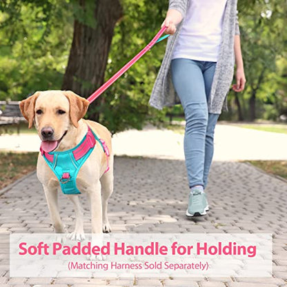PHOEPET 5 Feet Dog Leash with Comfortable Padded Handle Easy Snap Clasp - Reflective Walking Lead for Large, Medium & Small Breed Dogs (Pink + Mint Green Base) - color: Pink + Mint Green Base