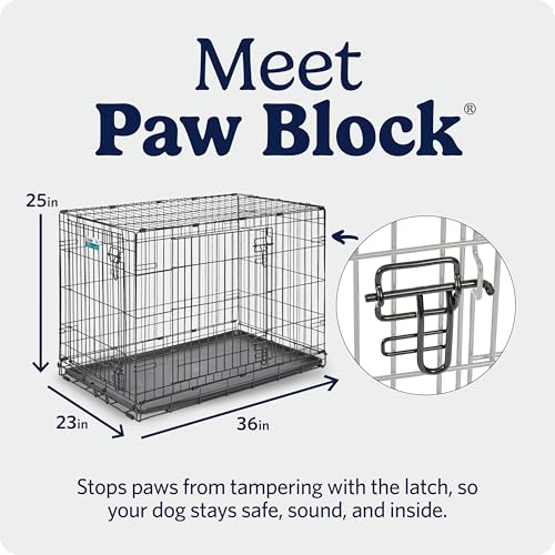 MidWest Homes for Pets 36-Inch iCrate for Medium-Large Breeds, 41-70 lbs, Single Door Folding Dog Crate with Divider Panel, Leak-Proof Tray & Secure Latches, Portable, Durable & Easy to Assemble - size: 36.0"L x 23.0"W x 25.0"H