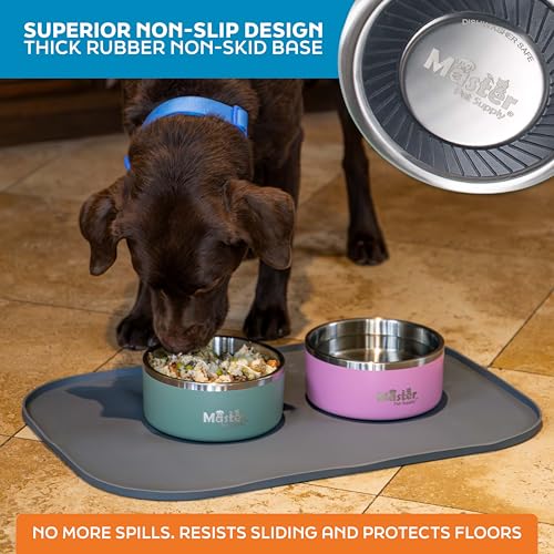 Master Pet Supply Stainless Steel Dog Bowls - 32 oz, Heavy Duty - Stainless Steel, Double Wall Extra-Thick Insulated, Non-Slip Pet Water Bowl for Dogs, Cats & Pets, Anti Rust Metal, Dish Washer Safe - color: Stainless Steel, size: 4 Cups (32 oz)