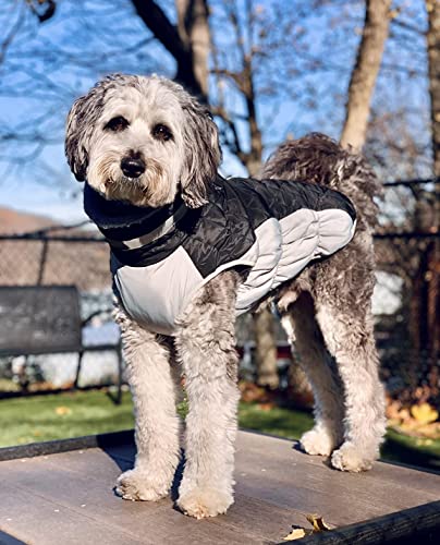 Lelepet Dog Coat Warm Dog Winter Coat Waterproof Dogs Jacket with Harness Built in Reflective Pet Fleece Vest Zip-Up Cold Weather Coats for Small Dogs Turtleneck & Windproof Coats Chihuahua Black XS - color: Black, size: X-Small