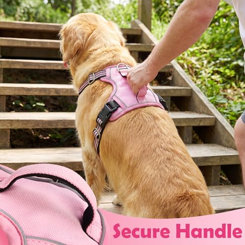 Funfox Dog Harness No Pull, Adjustable Pet Vest Harness, Super Soft Material with Vertical Handle Easy Control, Reflective Night Walking, 2 Leash Clips for Small Sized Dogs, Pink, S - color: Pink, size: Small